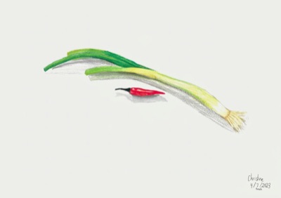 Pencil sketch of green onions
